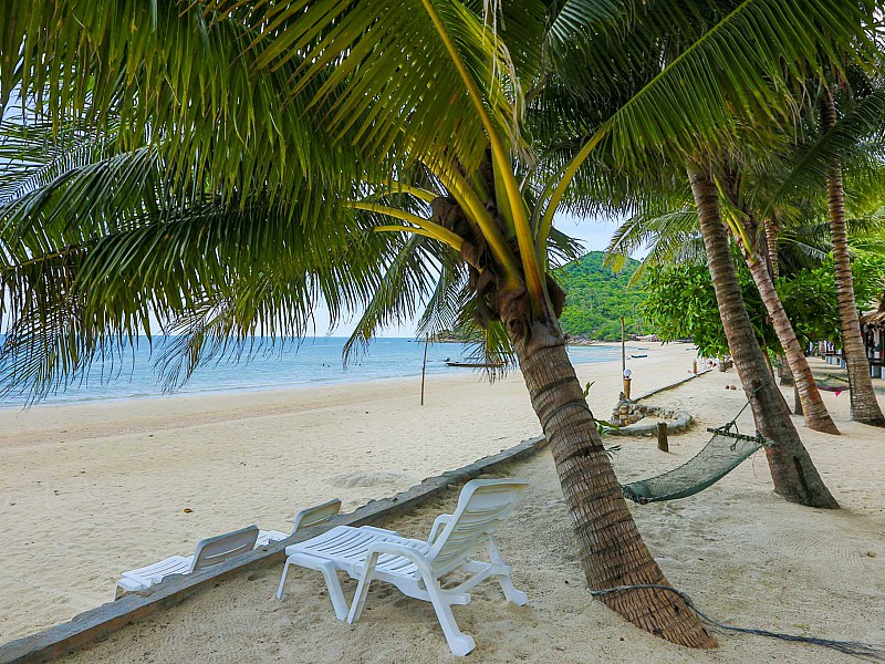 Standard Bungalow Beachfront With Fan